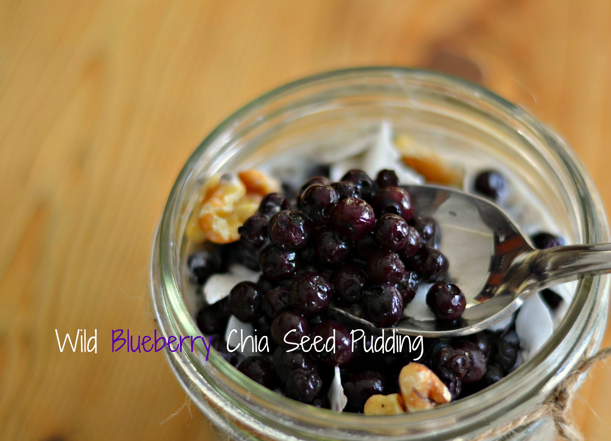 Wild Blueberry Chia Seed Pudding Yum