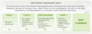 hot-flashes-hormonal-1