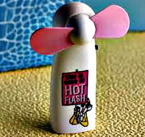 Just in case...I have a cute little hot flash fan.