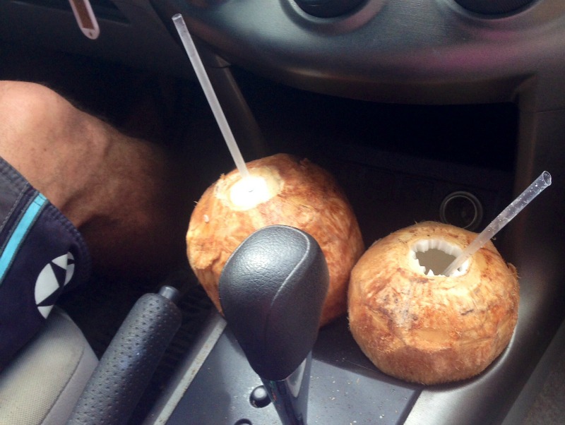 coconuts in car